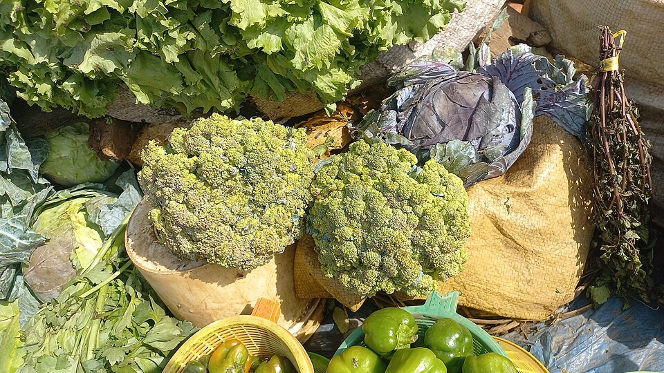 Fresh broccoli